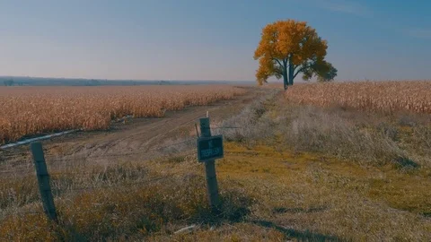 No Trespassing Stock Footage 83670776