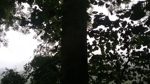 No trespassing pan down Video stock 79501666