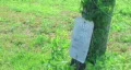No Trespassing Sign HD Footage