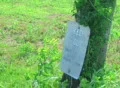 No Trespassing Sign Footage