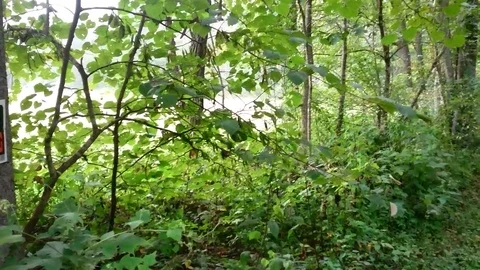 No trespassing sign Video stock 79501663