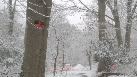 No trespassing sign on tree during snow Stock Footage 83399727
