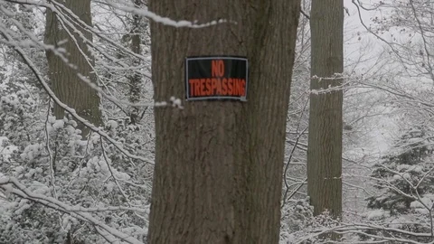 No trespassing snow storm tree Stock Footage 83399758