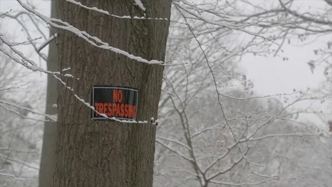 No trespassing tree snow storm slow motion slider shot Stock Footage 83399834