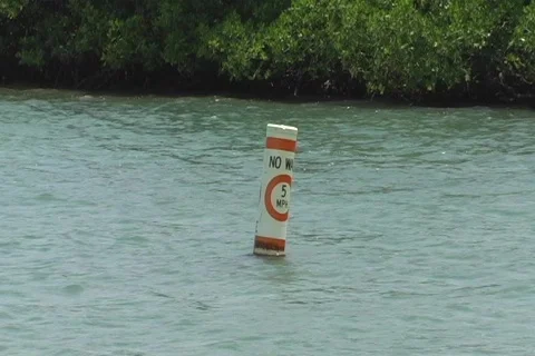 No wake 5 mph bouy in mangrove channels Stock Footage 772352