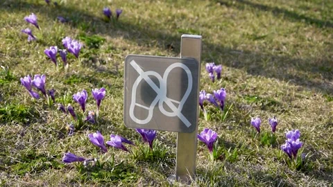 No walking on the grass. Stock Footage 173801673