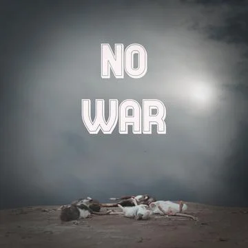 No war. Background of lying dead mice, symbolizing death. Concept no war, sto Stock Photos