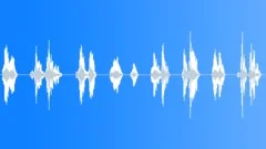 No waySound Effect