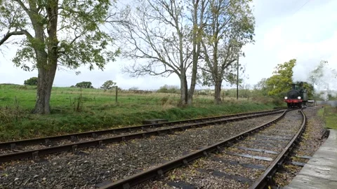 No.24 Calbourne running round train at Smallbrook Jn Stock Footage 220790608