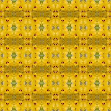 Nobile orchid seamless pattern background Foto stock