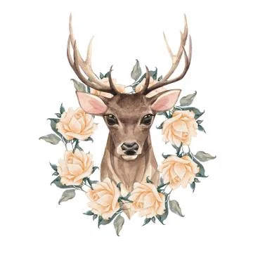 Noble deer with roses Stock-Illustration