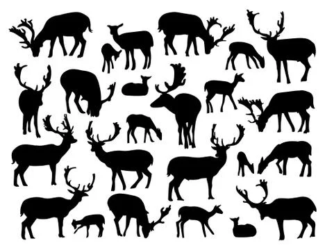 Noble deer silhouettes set isolated on white background. Vector illustration  Stock Illustration