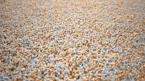 Noble Sand Background Stock Illustration