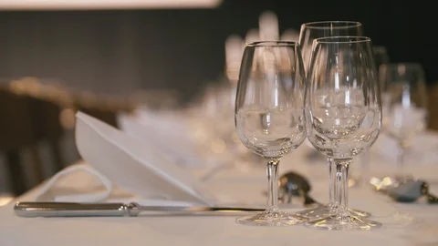 Noble table setting for dinner Stock Footage 101959383