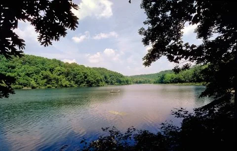 Noblett Lake Framed by Trees Stock Photos