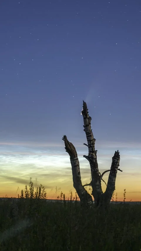 Noctilucent Clouds and Comet C 2020 F3 Neowise Stock Footage 137822201