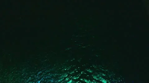 Nocturnal Water Flow Stock Footage 11130625