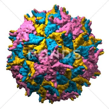 Nodamura virus particle, molecular model Stock Illustration