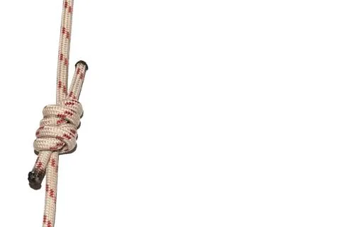 Node bunch of grapes on a rope isolated  white background Stock Photos