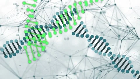 Node pulse starting green scribble crossing and skimming framed teal helix, Vidéo 335732086