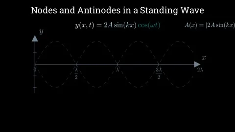 Nodes and antinodes in a standing wave Vídeos de archivo 335953355