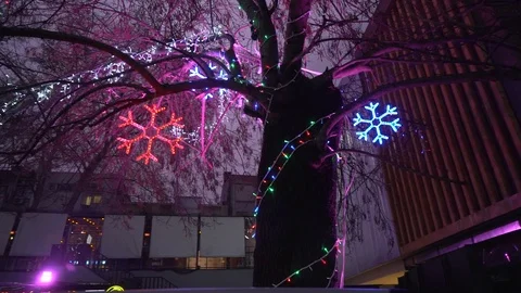 Noel Tree and Snowflakes Stock Footage 115032218