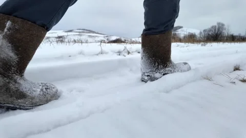 Nogi Stock Footage 305574519