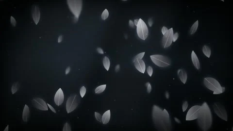 Noir stylized leaves floating abstract cinematic motion background 4k Stock-Footage 345257505