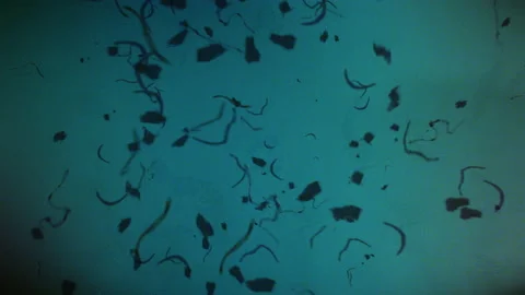 Noise Scratch Defects Screen Glitches Flow Background Stock Footage 130608220