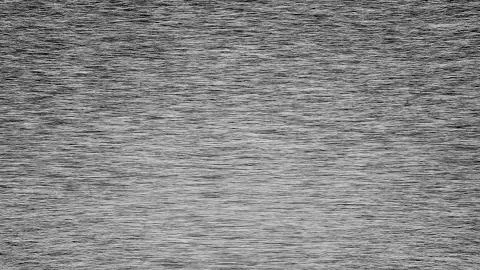 Noise Texture background for your texture 스톡 일러스트