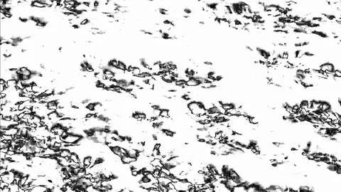Noise Texture of Black Spots Stock Footage 105638657