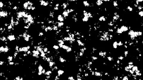 Noise transition matte  Stock Footage 248781558
