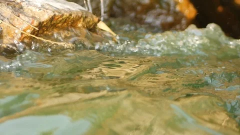 With the noise of the water, the current river Stock Footage 93873412