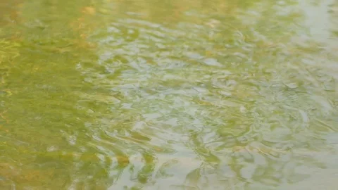 With the noise of the water Stock Footage 93873408