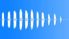 NOISEMAKER, DUCK CALL Sound Effect