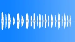 NOISEMAKER, DUCK CALL Sound Effect