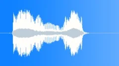 NOISEMAKER, DUCK HORN Sound Effect