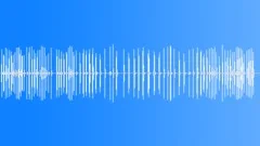 NOISEMAKER WOODEN TURN LONG03 Sound Effect