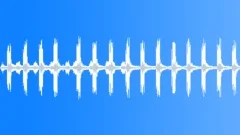 Noises of crickets at nightSound Effect