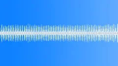 Noises of crickets at nightSound Effect