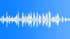 Noisy chicken hensSound Effect