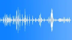 Noisy chicken hensSound Effect