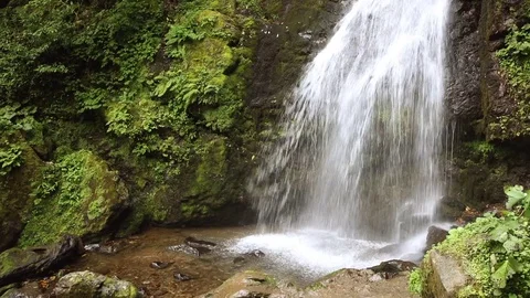 Noisy small waterfall in  rain forest 스톡 동영상 80673555