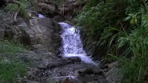 Noisy Tropical Waterfall Stockbeeldmateriaal 238024821