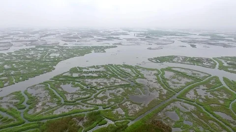 Nokoue Lake fields Stock Footage 87061631