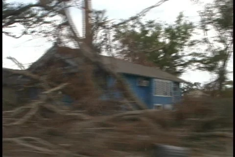 Nola2 Video stock 62272