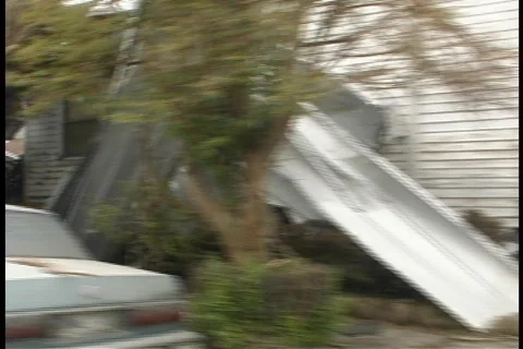 Nola3 Video stock 62277