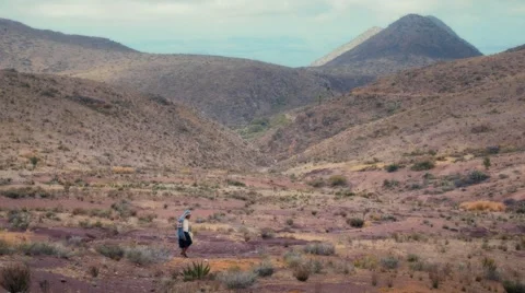 Nomad crossing desert Stock Footage 54978619
