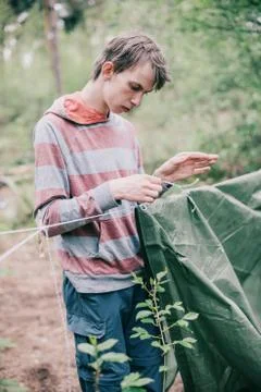 Nomad setting up campsite in spring forest. Stock Photos