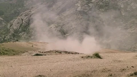 Nomadic Herdsmen Lead Sheep Migration Through Dusty Landscape, Xinjiang, China 動画素材 337857165